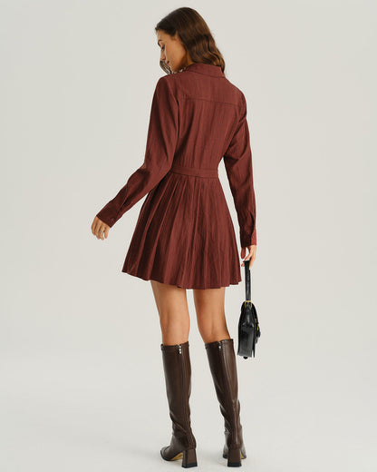 Brick Red A-Line Pleated Mini Dress
